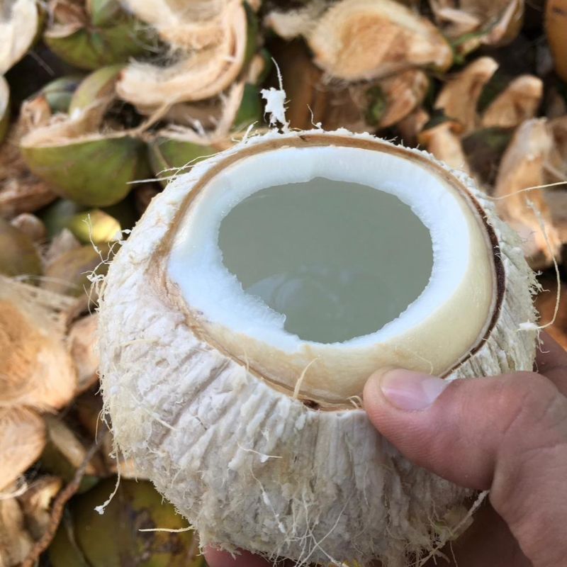 cocos2