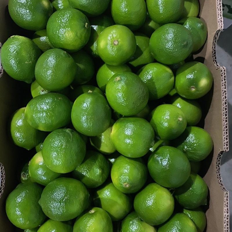 limon-mexicano4